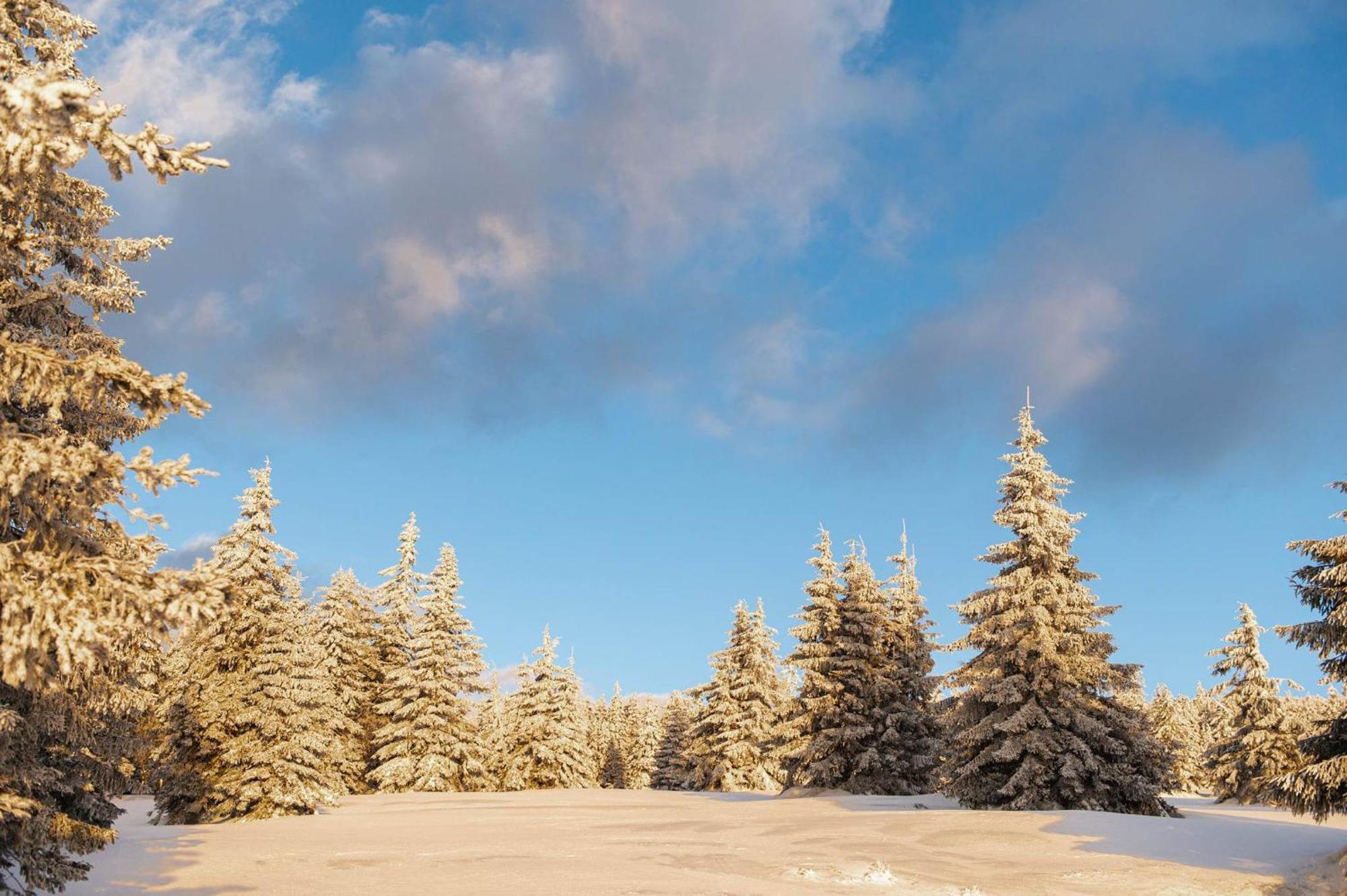 Gorskie Chatki Krysi I Piotrka Bursztynowy สโตรเนีย ชล็องสเกีย ภายนอก รูปภาพ
