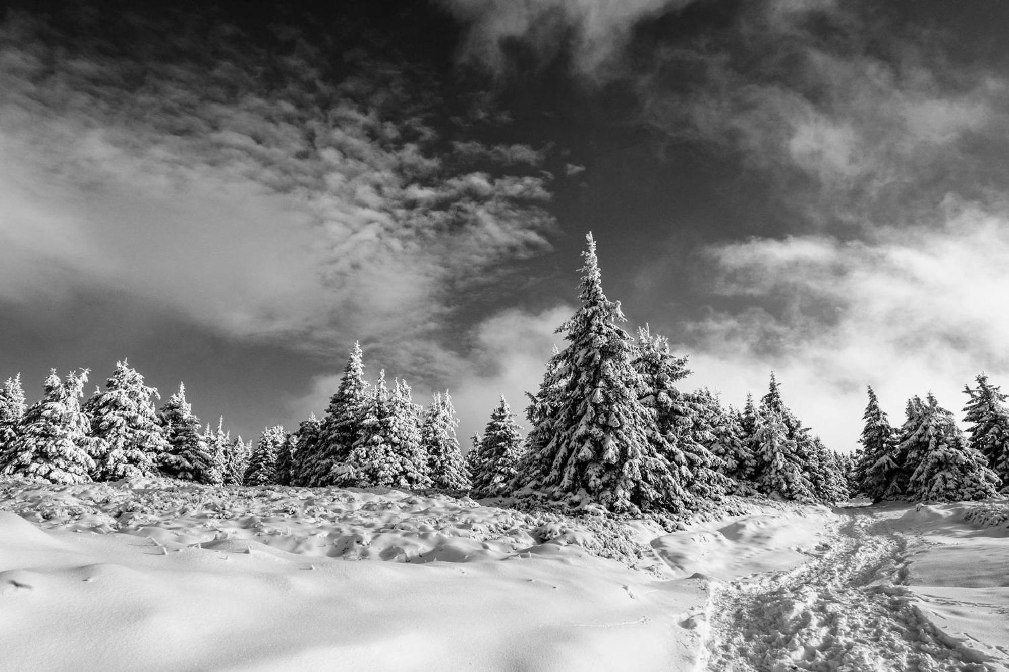 Gorskie Chatki Krysi I Piotrka Bursztynowy สโตรเนีย ชล็องสเกีย ภายนอก รูปภาพ